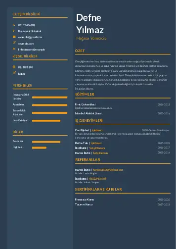 Yönetici CV Örnekleri cv indir